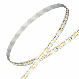 Cinta 10W/M 6500K 12v ECOLA2-ECO 5 MT 120led/mts IP-20 8 mm