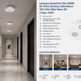 Lámpara Superficie 30w 4100K DOTS BY-X103 Negra Ultrafina 300x39mm 100-245v 60hz Negro Plano 36º