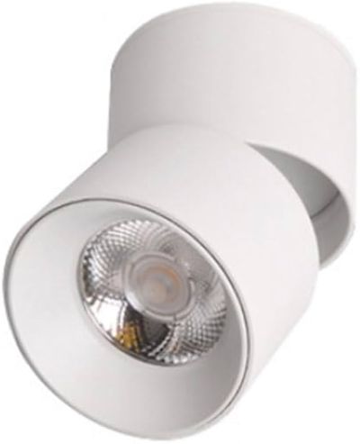 Foco superficie basculante 10W LDG2920B-10 4000K WH 600LM 72 X 132 mm EVOLIGHT BLANCO