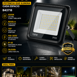 Reflector 100w B43718 6500k 120º 8000Lm 100-265V ROOMLUX IP-65