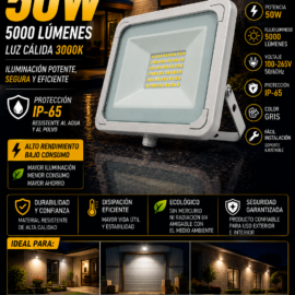 Reflector 50W 3000K 100-265V B43718 ROOMLUX Gris 5000 lm IP-65